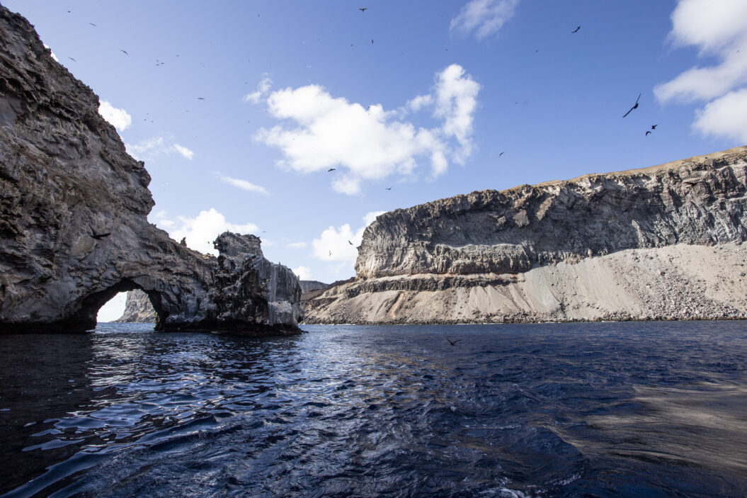 Boatswainbird Island - Nicola Weber