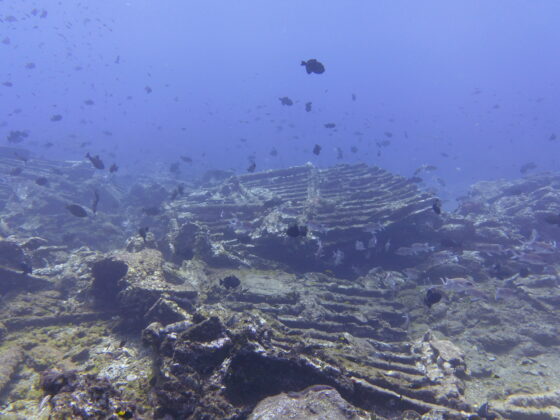 S.V. Abyssinian/China Wreck