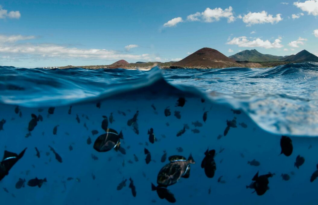 Ascension Island - Paul Colley