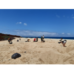 Georgetown beach