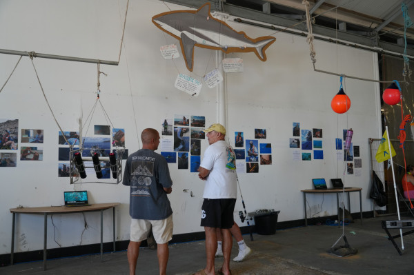 Mesophotic Display Marine Festival 2026