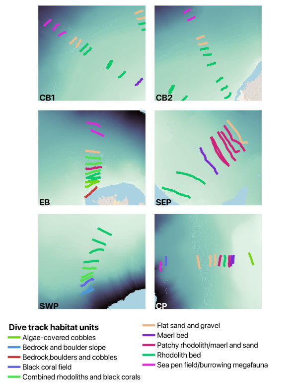 Figure 2. Mesophotic survey transects showing finer scale habitat distribution around Ascension Island.